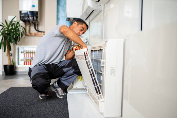 Best Air Duct Mold Removal  in Baltic, CT