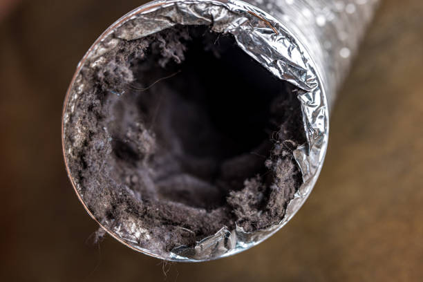 Best Local Air Duct Cleaning Services  in Baltic, CT